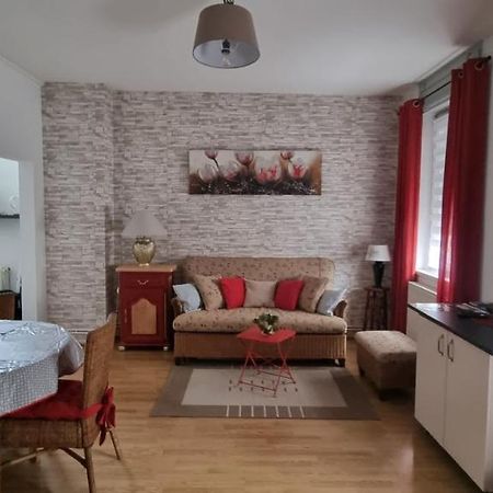 Appartement Meuble Romain Niederbronn-les-Bains Zewnętrze zdjęcie